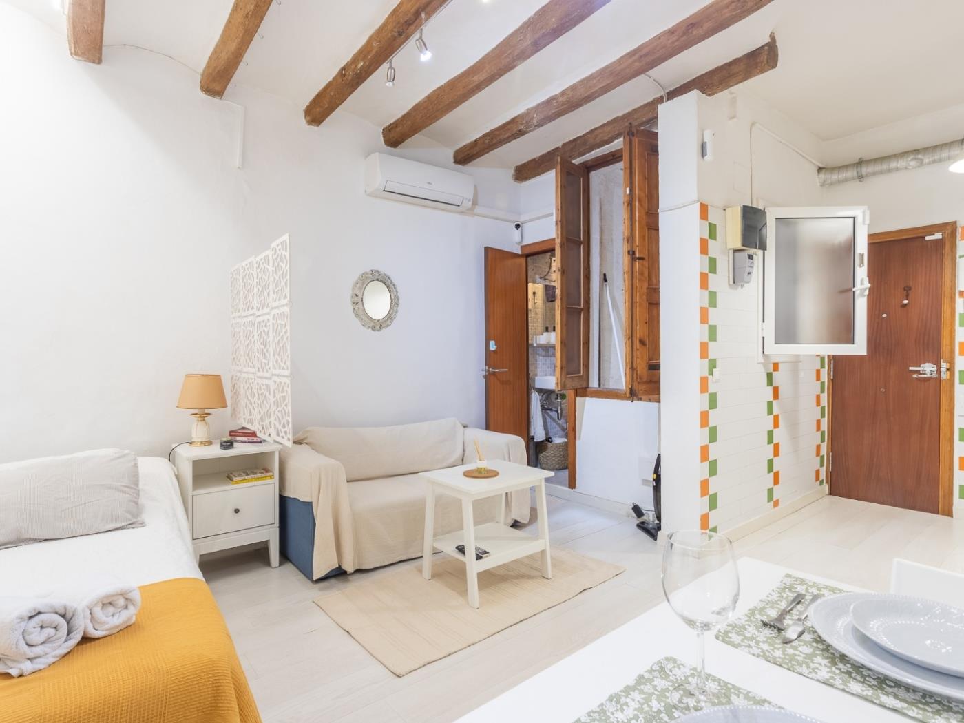 Charmantes Loft in El Born – Mindestaufenthalt 31 Nächte - My Space Barcelona Appartementen